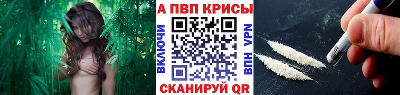 Alpha PVP крисы CK  Звенигород 