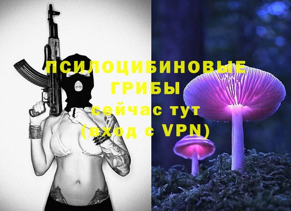 ALPHA PVP Бердск
