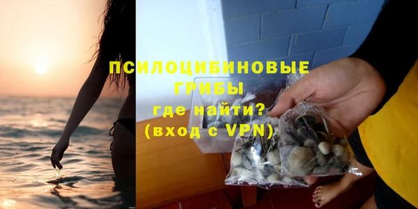 гашик Ачинск
