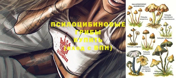 ALPHA PVP Бердск
