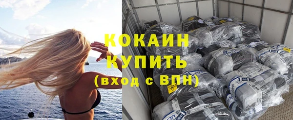 ALPHA PVP Бердск