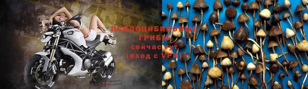 гашик Ачинск