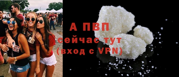 ALPHA PVP Бердск