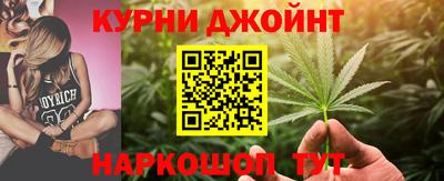 сатива Волжский