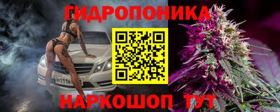 сатива Волжский