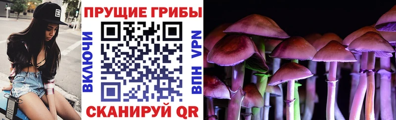 Псилоцибиновые грибы прущие грибы  Звенигород 
