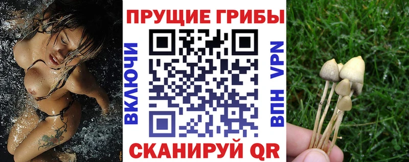 Галлюциногенные грибы мухоморы Звенигород