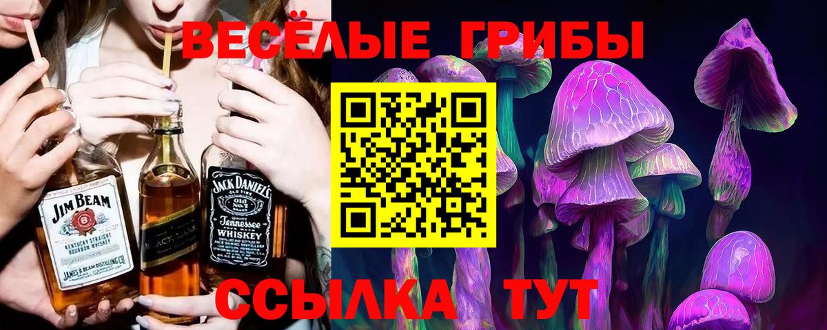 Псилоцибиновые грибы ЛСД Звенигород