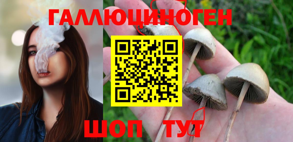 Звенигород  Галлюциногенные грибы мухоморы  Вход с VPN 